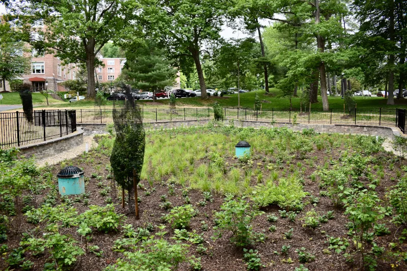 Read more about the article Knollwood Life Retirement Green Infrastructure