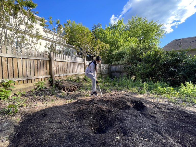 Read more about the article Bannockburn Pollinator Gardens