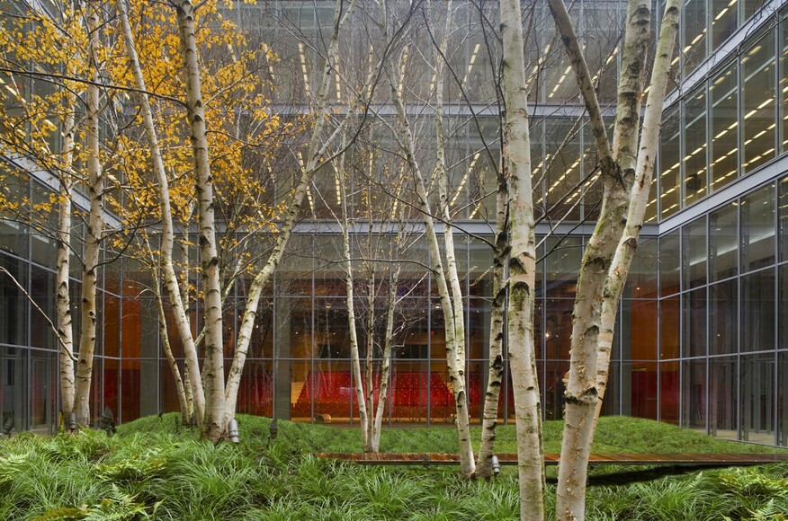 Read more about the article New York Times Building, Lobby Garden